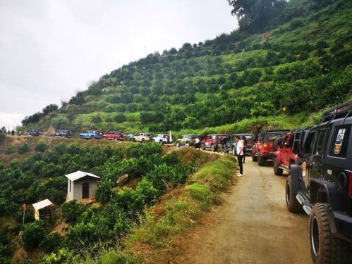 哀牢山神秘之处，监控记录下的十六小时探索