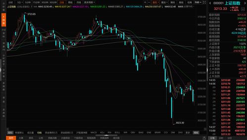 收盘丨A股三大指数小幅反弹，两市近3700只个股下跌