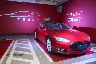 因客户赶在涨价前下单 特斯拉(TSLA.US)11月在华销量同比增长5%