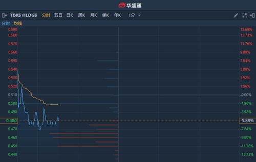 Paymentus Hldgs Inc盘中异动 快速跳水5.13%报16.20美元